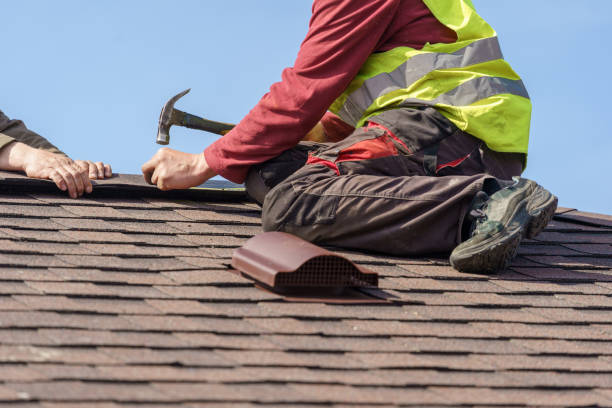 Best Metal Roofing Contractor  in Corunna, MI