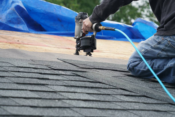 Best Metal Roofing Contractor  in Corunna, MI