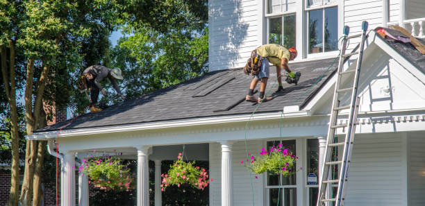 Best Roof Gutter Cleaning  in Corunna, MI