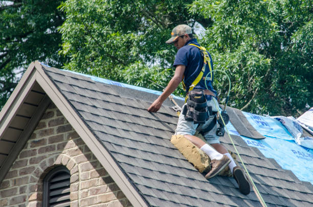 Tile Roofing Contractor in Corunna, MI